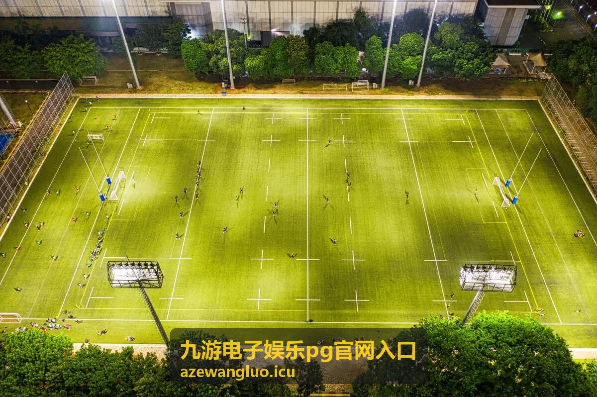 九游电子娱乐pg官网入口步骤指引封面图