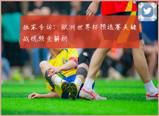 独家专访：欧洲世界杯预选赛关键战视频全解析
