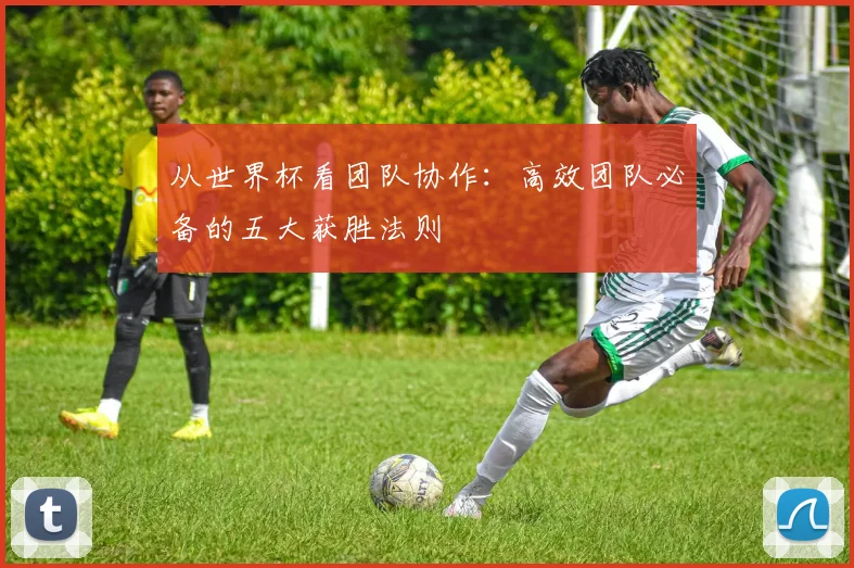 从世界杯看团队协作：高效团队必备的五大获胜法则
