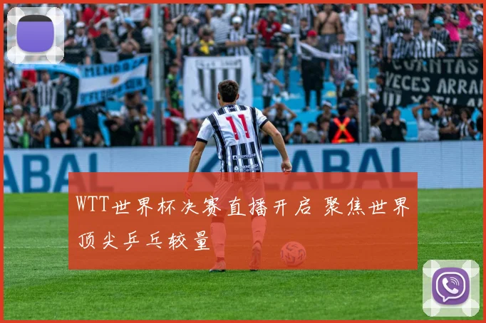 WTT世界杯决赛直播开启 聚焦世界顶尖乒乓较量