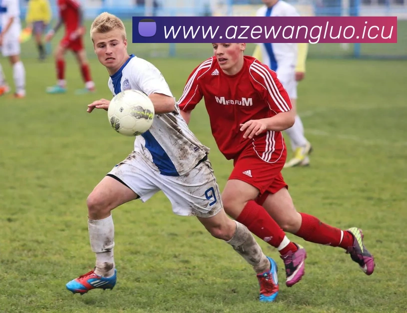 乐竞体育网页版登录界面平台生态图